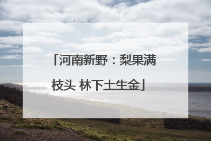 河南新野：梨果满枝头 林下土生金