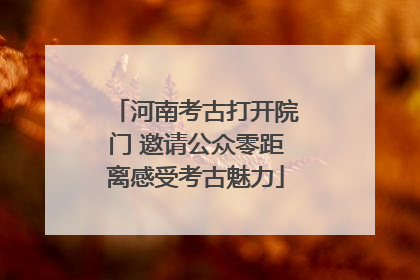 河南考古打开院门 邀请公众零距离感受考古魅力