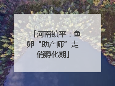 河南镇平：鱼卵“助产师”走俏孵化期