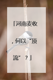 河南麦收，何以“顶流”？