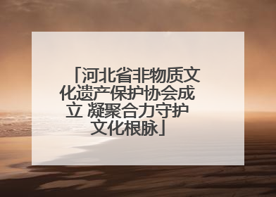 河北省非物质文化遗产保护协会成立 凝聚合力守护文化根脉