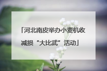 河北南皮举办小麦机收减损“大比武”活动