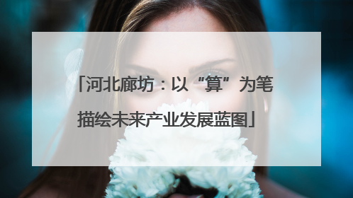 河北廊坊：以“算”为笔描绘未来产业发展蓝图