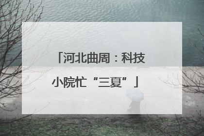 河北曲周：科技小院忙“三夏”