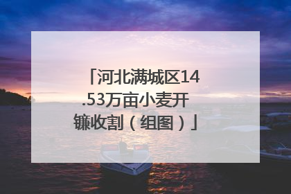 河北满城区14.53万亩小麦开镰收割（组图）