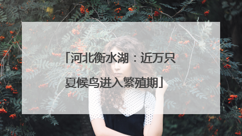 河北衡水湖：近万只夏候鸟进入繁殖期