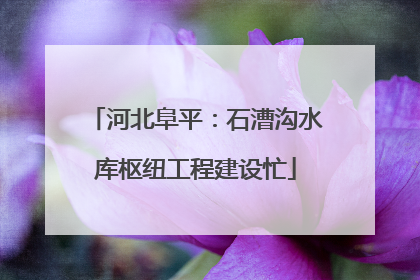 河北阜平：石漕沟水库枢纽工程建设忙