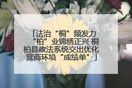 法治“桐”频发力 “柏”业锦绣正兴 桐柏县政法系统交出优化营商环境“成绩单”