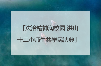 法治精神润校园 洪山十二小师生共学民法典