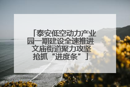 泰安低空动力产业园一期建设全速推进 文庙街道聚力攻坚抢抓“进度条”