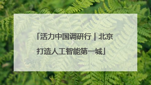 活力中国调研行｜北京打造人工智能第一城