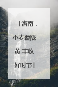 洛南：小麦覆陇黄 丰收好时节