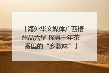 海外华文媒体广西梧州品六堡 探寻千年茶香里的“乡愁味”
