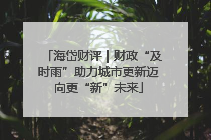 海岱财评｜财政“及时雨”助力城市更新迈向更“新”未来
