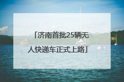 济南首批25辆无人快递车正式上路