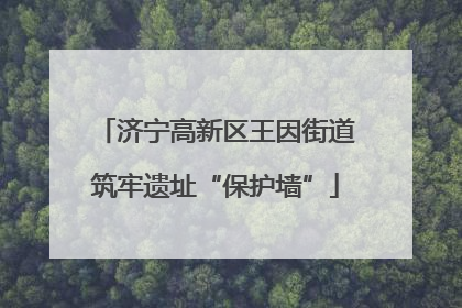 济宁高新区王因街道筑牢遗址“保护墙”