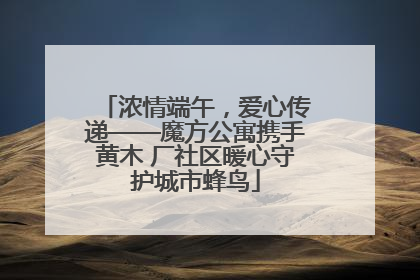 浓情端午，爱心传递——魔方公寓携手黄木 厂社区暖心守护城市蜂鸟