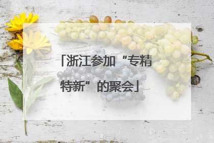 浙江参加“专精特新”的聚会