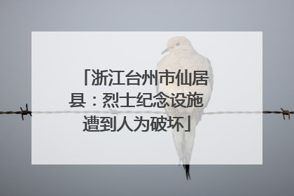 浙江台州市仙居县：烈士纪念设施遭到人为破坏