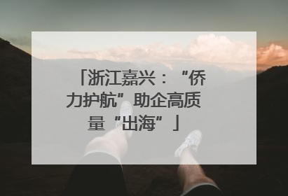 浙江嘉兴：“侨力护航”助企高质量“出海”