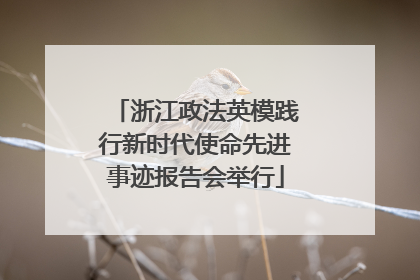 浙江政法英模践行新时代使命先进事迹报告会举行