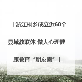 浙江桐乡成立近60个县域教联体 做大心理健康教育“朋友圈”