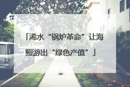 浠水“锅炉革命”让海鳗游出“绿色产值”