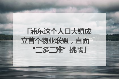 浦东这个人口大镇成立首个物业联盟，直面“三多三难”挑战