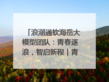 浪潮通软海岳大模型团队：青春逐浪，智启新程｜青春思政课