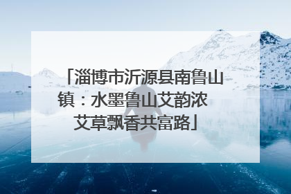淄博市沂源县南鲁山镇：水墨鲁山艾韵浓 艾草飘香共富路