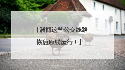 淄博这些公交线路恢复原线运行！