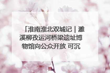淮南淮北双城记｜濉溪柳孜运河桥梁遗址博物馆向公众开放 可沉浸式触摸历史