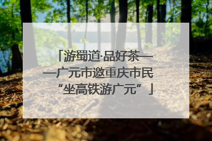 游蜀道·品好茶——广元市邀重庆市民“坐高铁游广元”