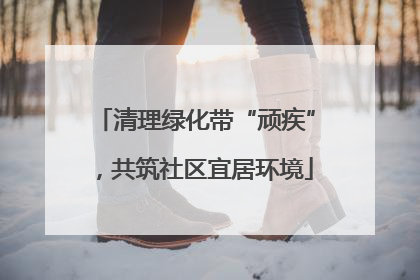 清理绿化带“顽疾”，共筑社区宜居环境