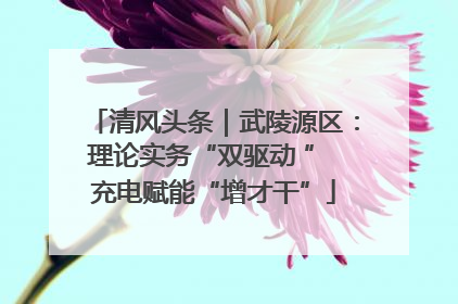 清风头条｜武陵源区：理论实务“双驱动 ” 充电赋能“增才干”