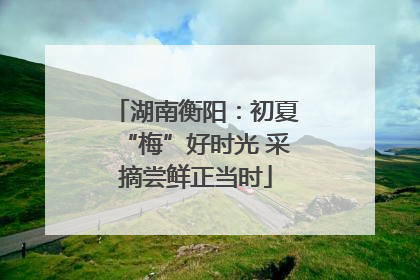 湖南衡阳：初夏“梅”好时光 采摘尝鲜正当时