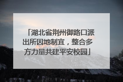 湖北省荆州御路口派出所因地制宜，整合多方力量共建平安校园