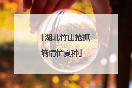 湖北竹山抢抓墒情忙夏种