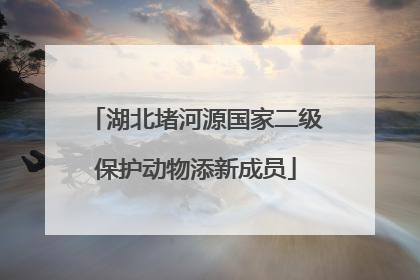 湖北堵河源国家二级保护动物添新成员