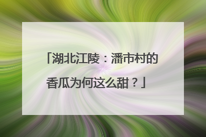 湖北江陵：潘市村的香瓜为何这么甜？