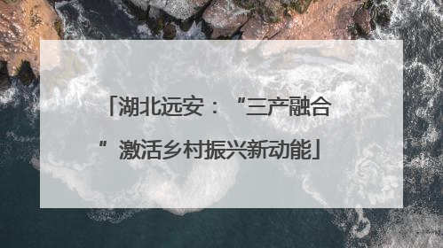 湖北远安：“三产融合”激活乡村振兴新动能