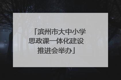 滨州市大中小学思政课一体化建设推进会举办