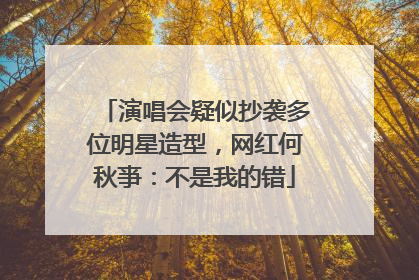 演唱会疑似抄袭多位明星造型，网红何秋亊：不是我的错