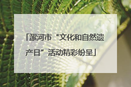 漯河市“文化和自然遗产日”活动精彩纷呈