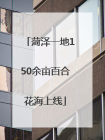 菏泽一地150余亩百合花海上线