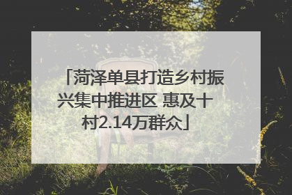 菏泽单县打造乡村振兴集中推进区 惠及十村2.14万群众