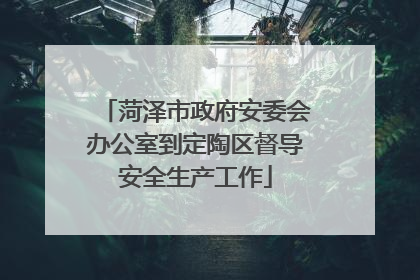 菏泽市政府安委会办公室到定陶区督导安全生产工作