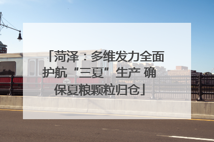 菏泽：多维发力全面护航“三夏”生产 确保夏粮颗粒归仓