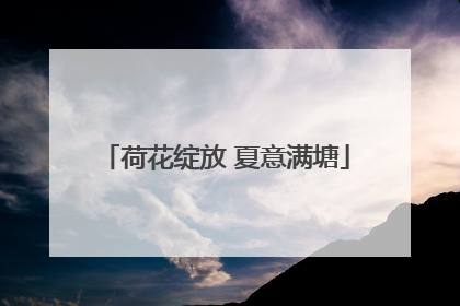 荷花绽放 夏意满塘