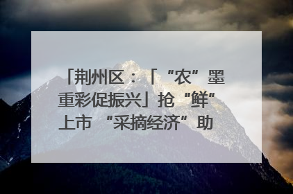 荆州区：「“农”墨重彩促振兴」抢“鲜”上市 “采摘经济”助农“甜蜜增收”